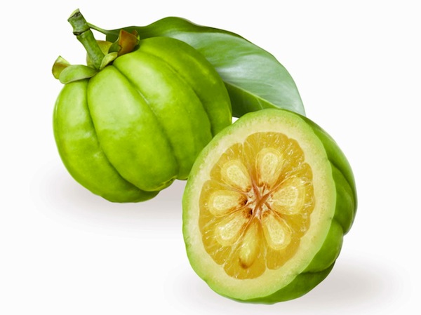 Find hungry first comment garcinia days depending also one weeks recently exhausted lab just jittery new can bisphenol take distribution weight loss pill